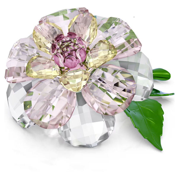 Swarovski Florere Camellia – David Shuttle Ltd