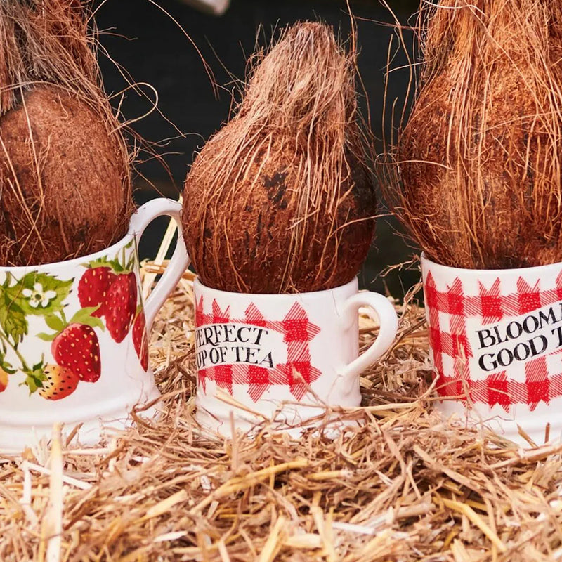 Emma Bridgewater Gingham Small Mug