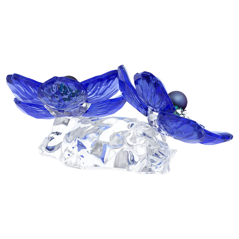 Swarovski Crystal Society Idyllia Anemone Coronaria Flower