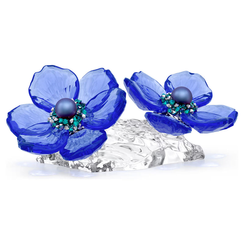 Swarovski Crystal Society Idyllia Anemone Coronaria Flower