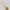 Alex Monroe Floral Engraved Heart Necklace, Gold Plated