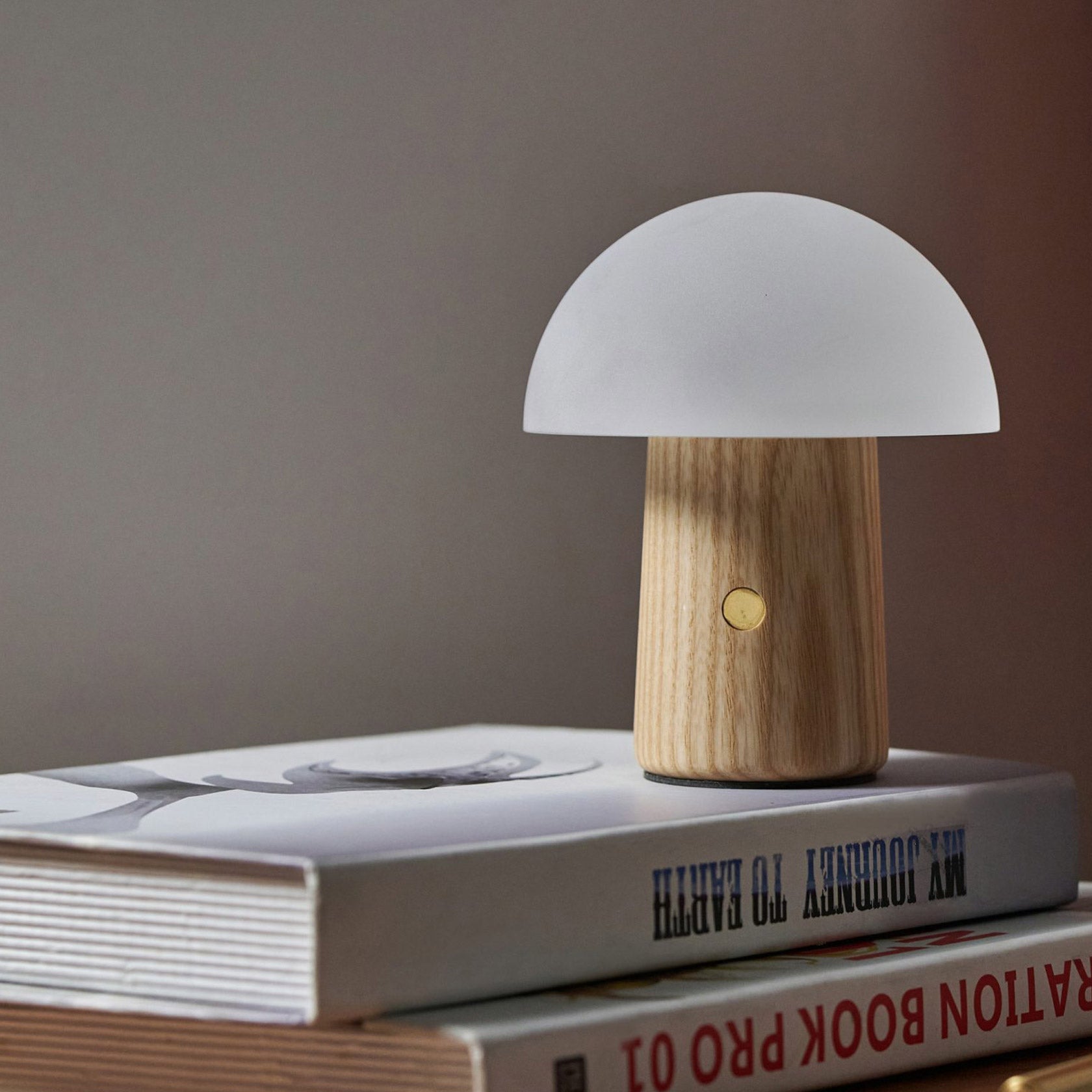 Gingko Design Alice Mushroom Lamp, Mini, White Ash Wood – David