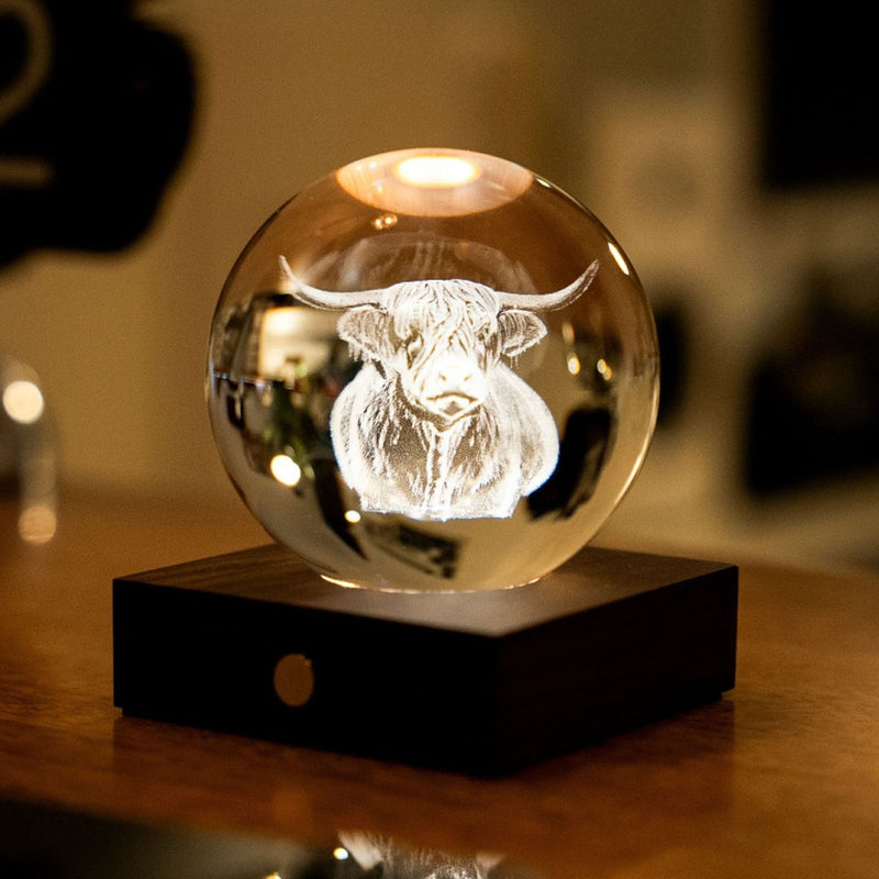 Gingko Amber Crystal Light, Highland Cow
