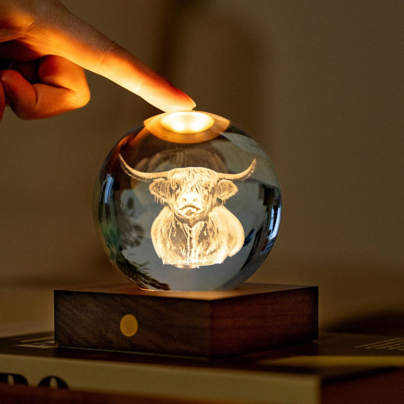 Gingko Amber Crystal Light, Highland Cow
