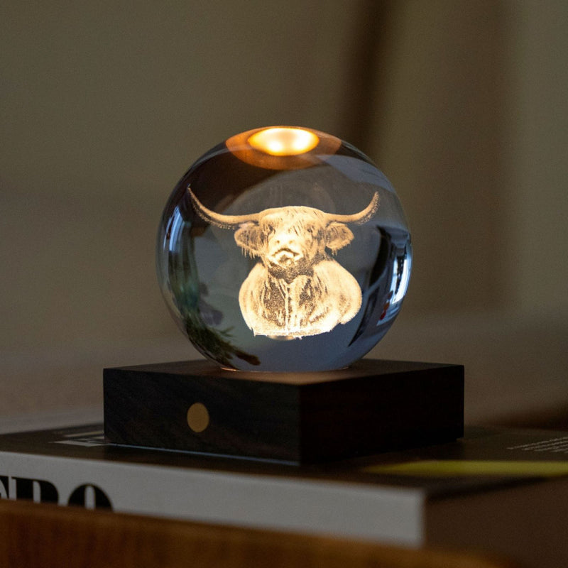 Gingko Amber Crystal Light, Highland Cow