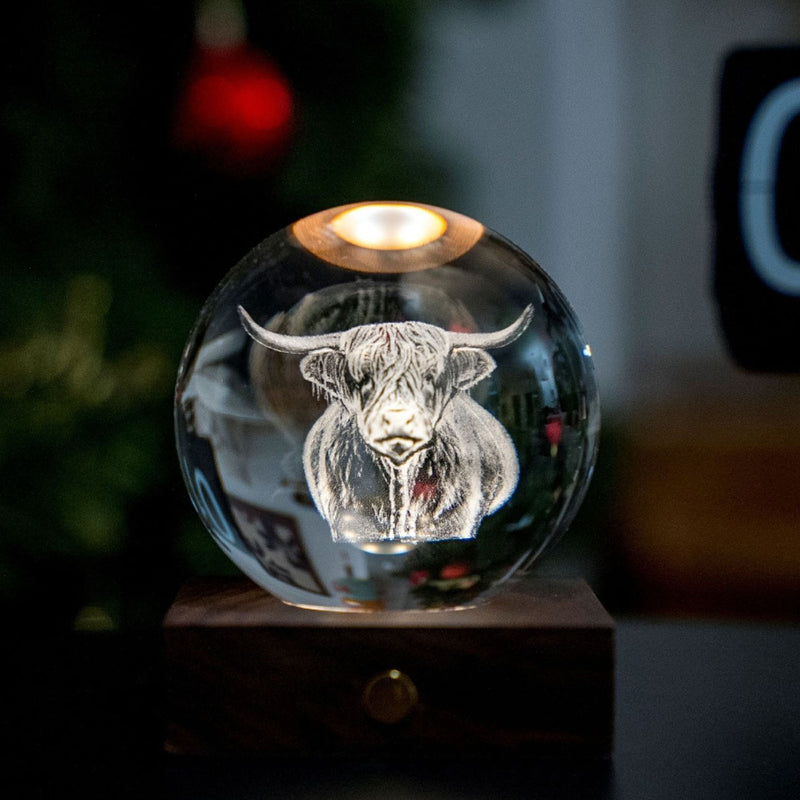 Gingko Amber Crystal Light, Highland Cow