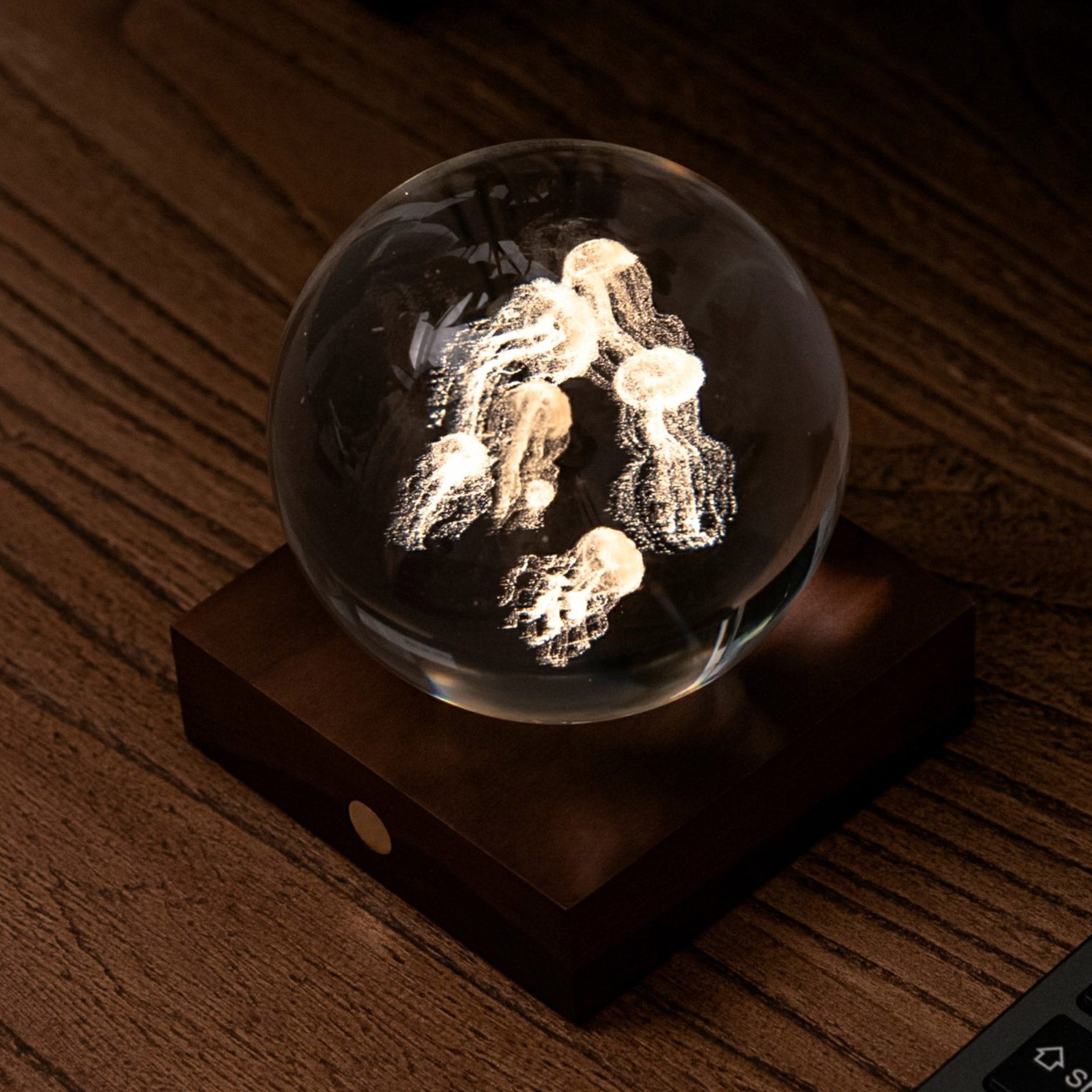 Gingko Design Amber Crystal Light, Jellyfish – David Shuttle Ltd