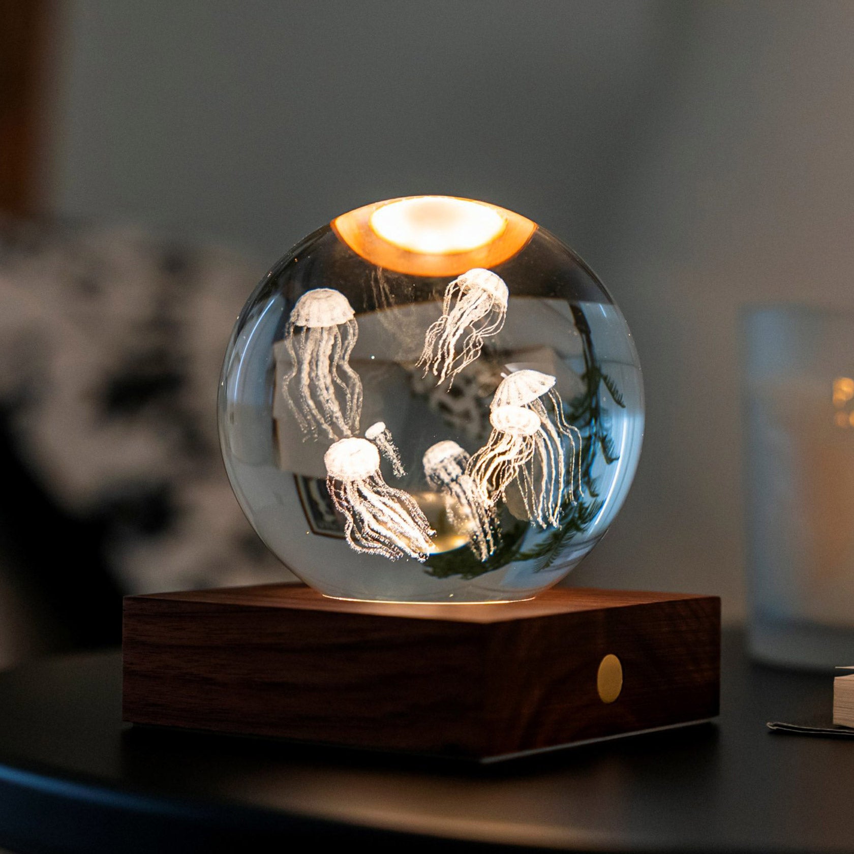 Gingko Design Amber Crystal Light, Jellyfish – David Shuttle Ltd