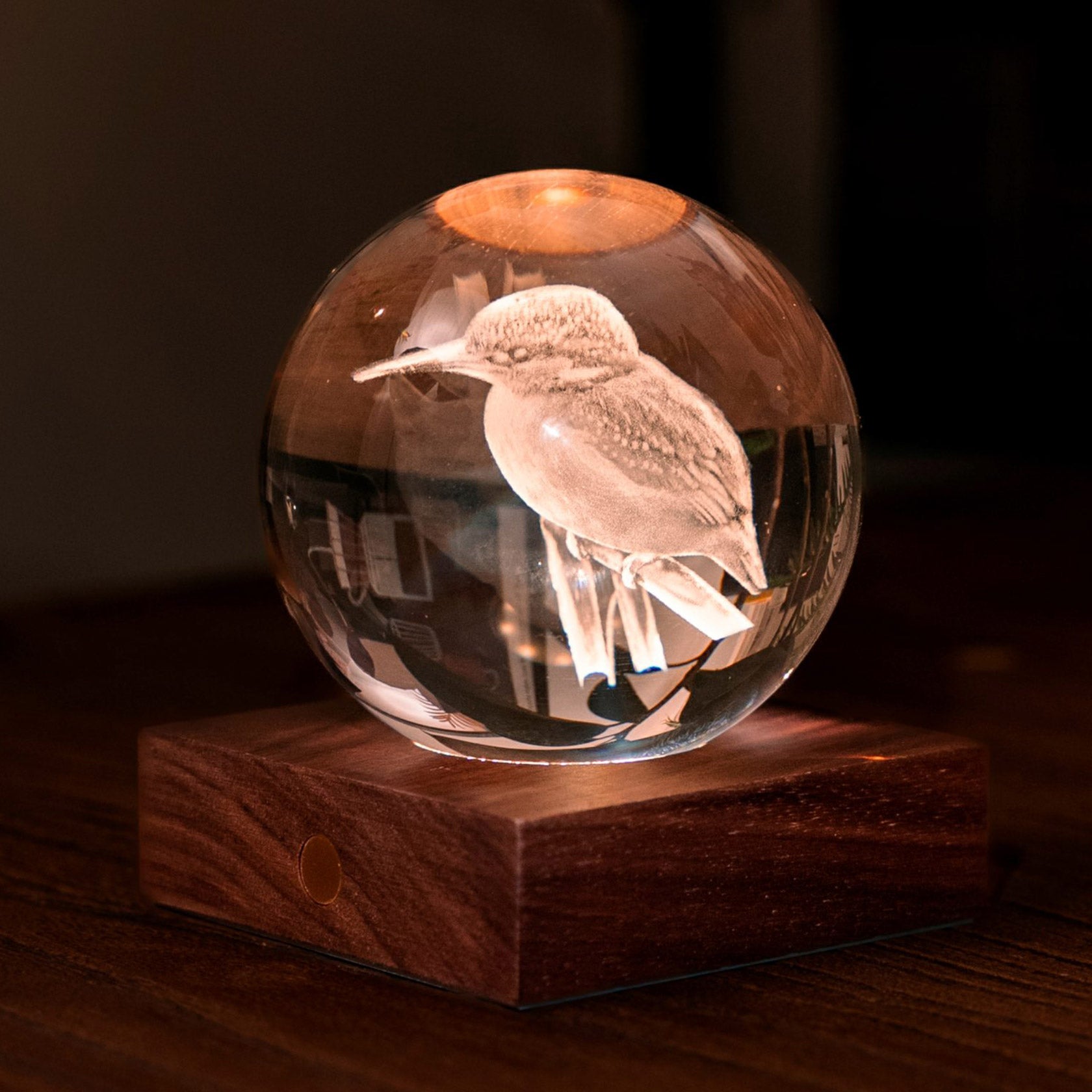 Gingko Design Amber Crystal Light, King Fisher – David Shuttle Ltd