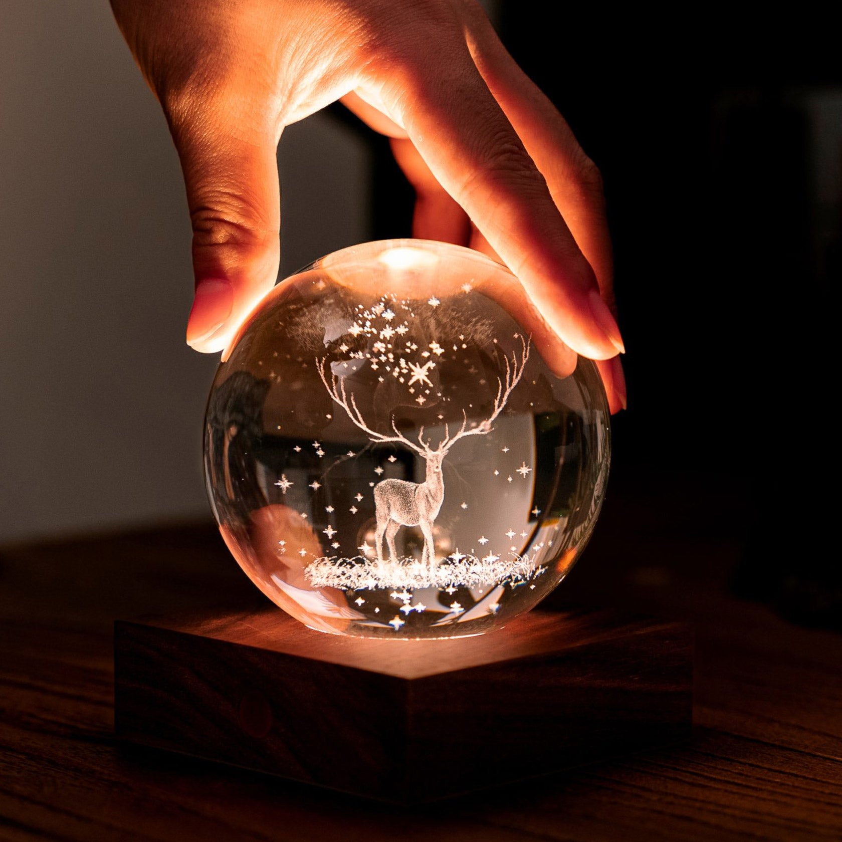 Gingko Design Amber Crystal Light, Stag – David Shuttle Ltd