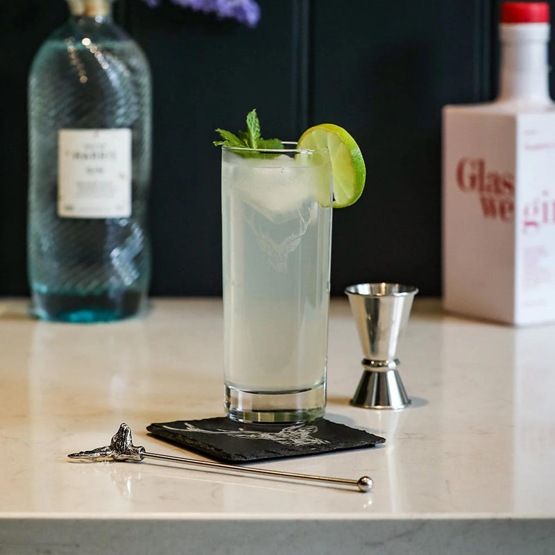 Selbare House Stag Highball Drinks Set