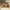 Selbrae House 2 Oak Egg Cups, Better And Other