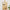 Selbrae House Bee Paddle, Large