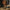 Selbrae House Stag Drinks Set