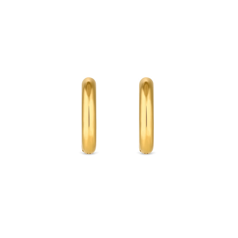 Amori Olivia Small Hoop Earring Mixed