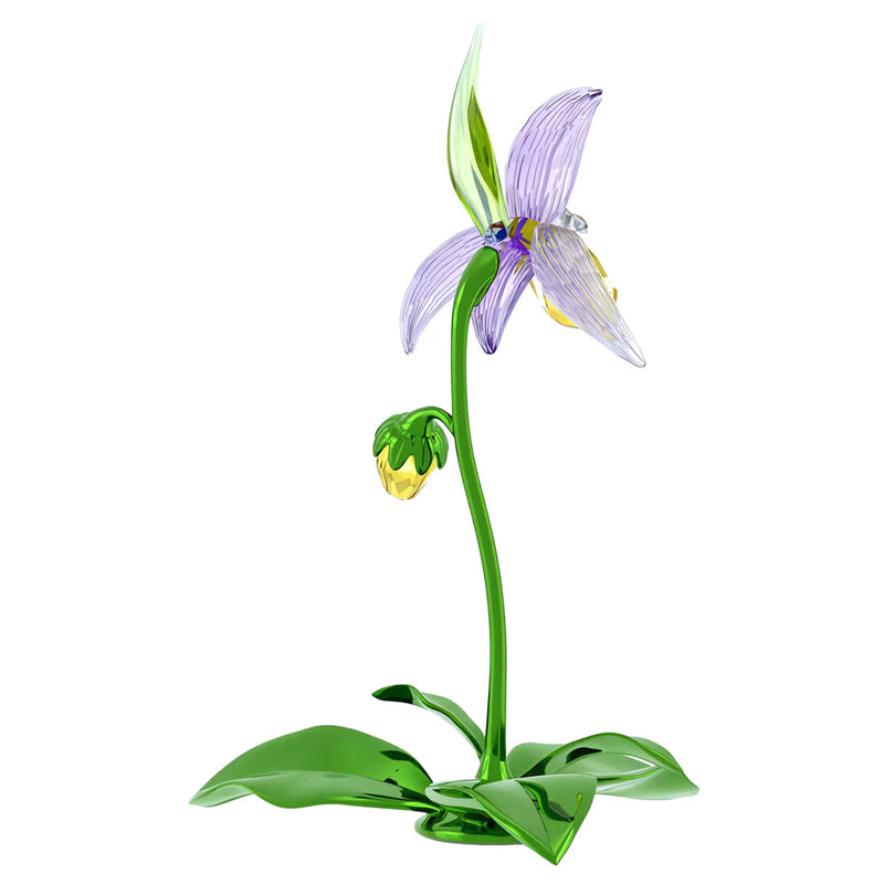 Swarovski Florere Lady Slipper Orchid