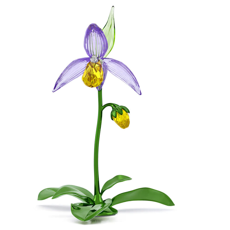 Swarovski Florere Lady Slipper Orchid