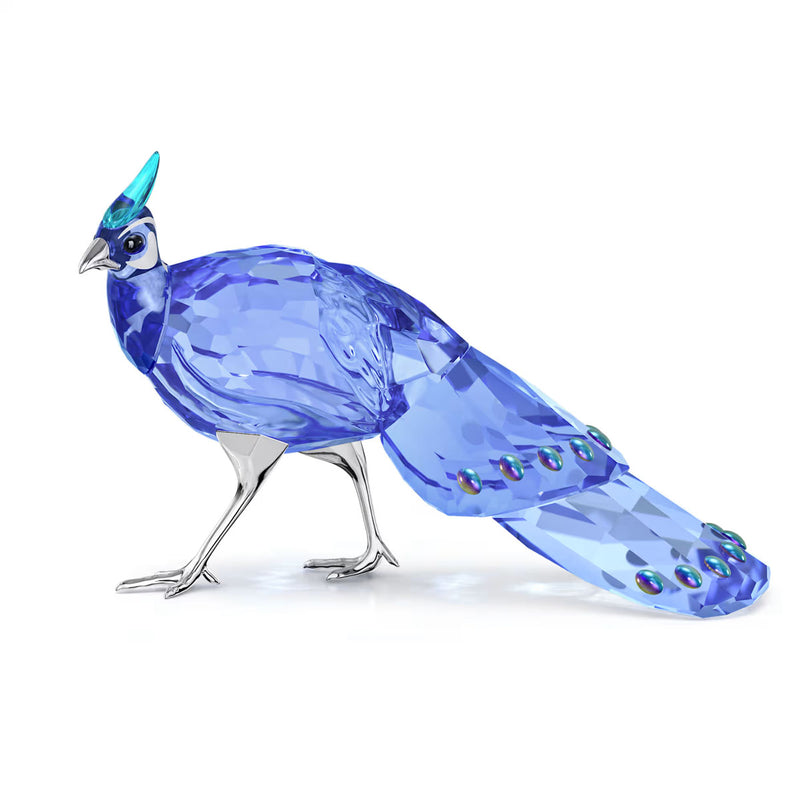 Swarovski Crystal Society Idyllia Palawan Peacock-Pheasant (Signed)