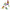 Swarovski Crystal Society Gouldian Finches Set