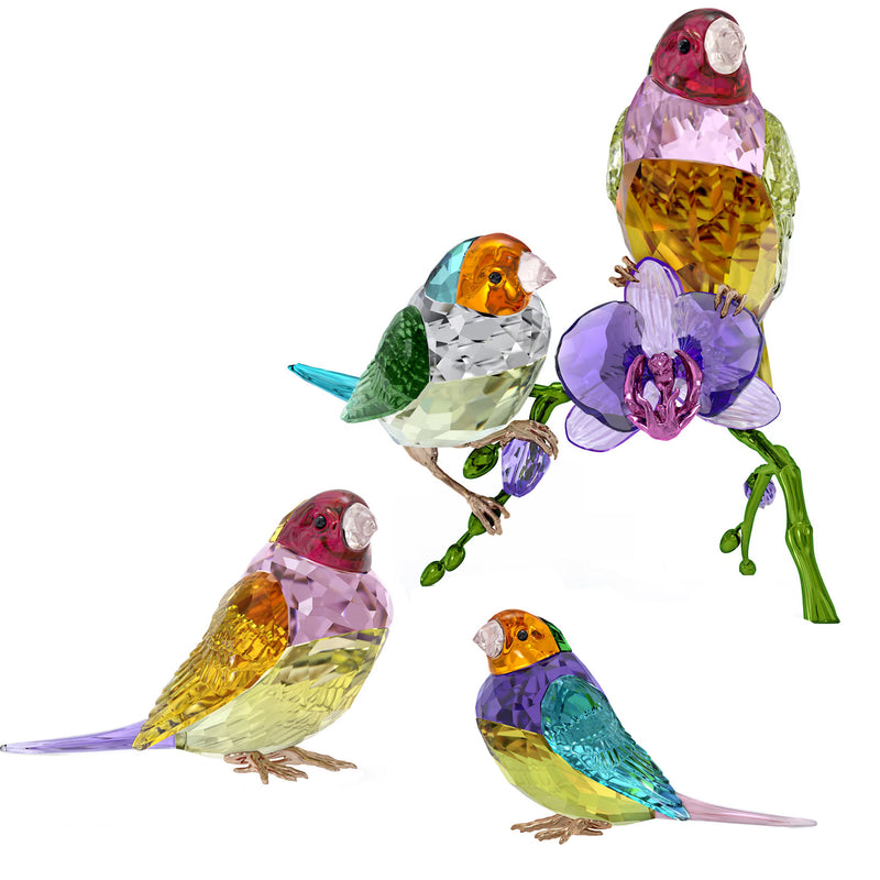 Swarovski Crystal Society Gouldian Finches Set