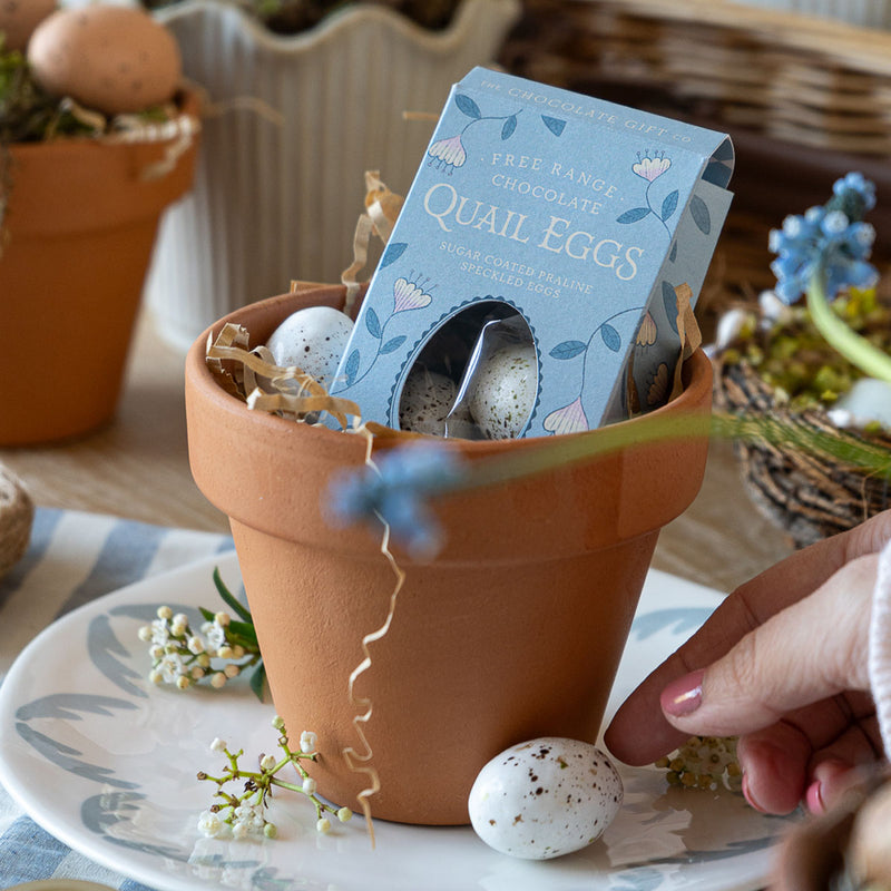 The Chocolate Gift Company Praline Quail Chocolate Eggs