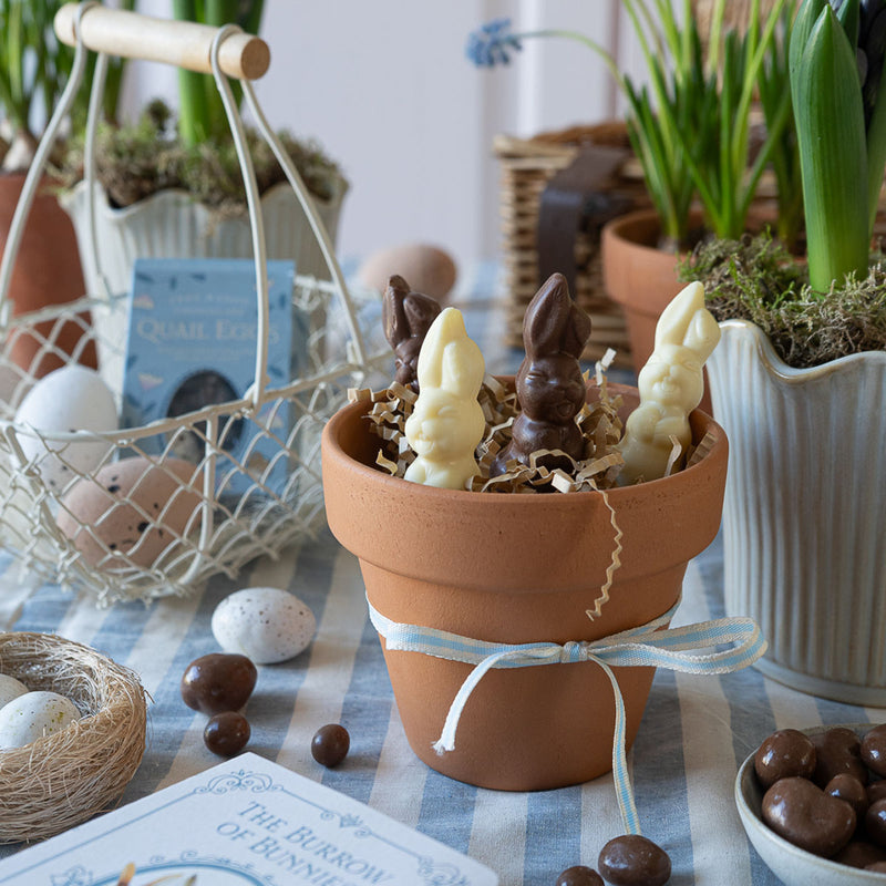 The Chocolate Gift Company The Burrow of Bunnies Chocolate Book