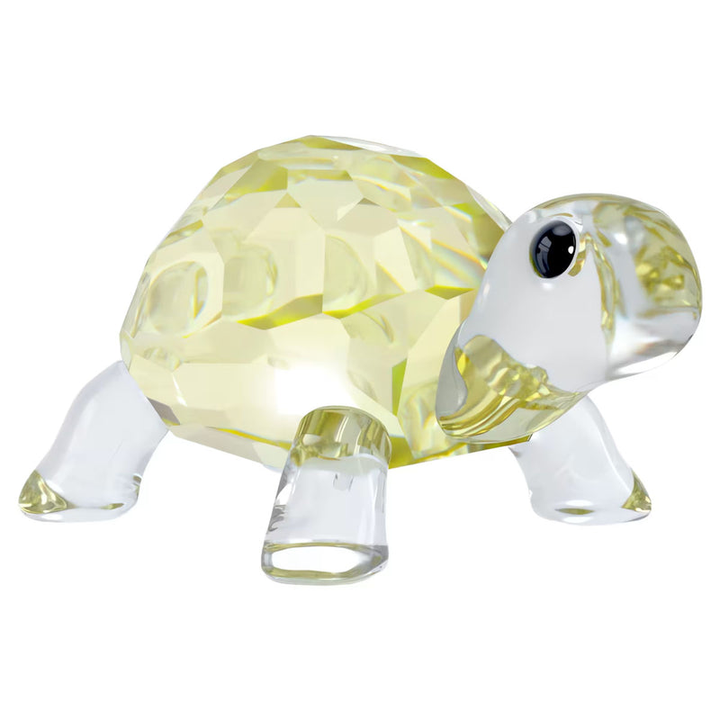 Swarovski Idyllia Baby Tortoise