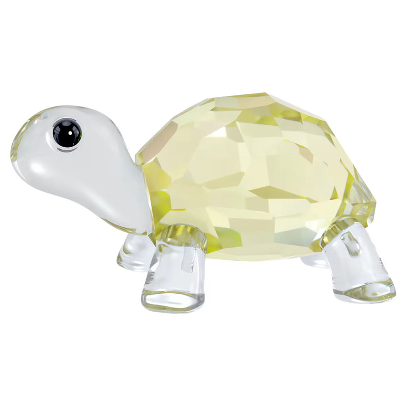 Swarovski Idyllia Baby Tortoise