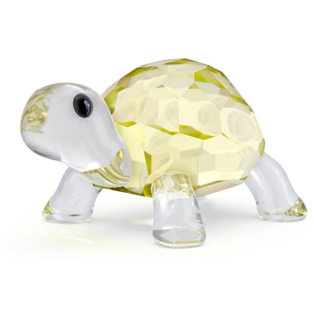 Swarovski Idyllia Baby Tortoise