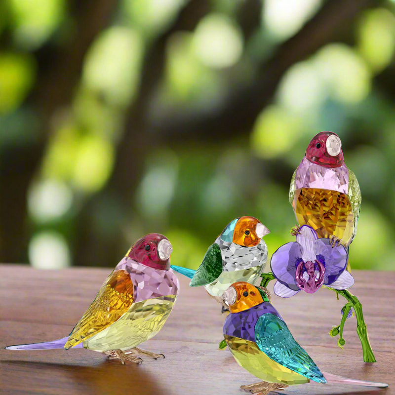 Swarovski Crystal Society Gouldian Finches Set