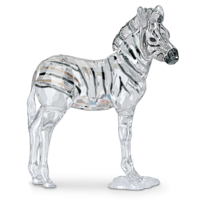 Swarovski Crystal Society Elegance of Africa SCS Zebra Baby Zuri