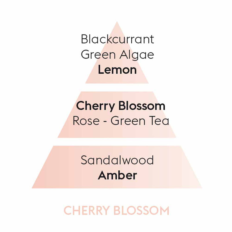 Cherry Blossom