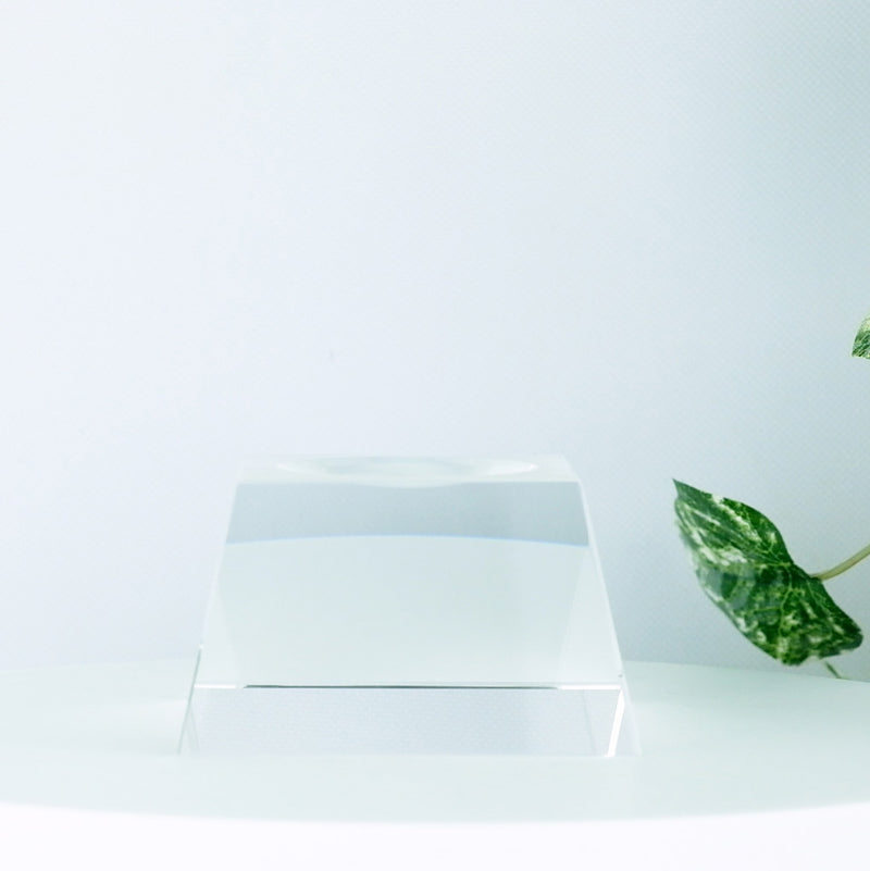 Clear Crystal 4.5 Inch Globe Stand with a plant in the background