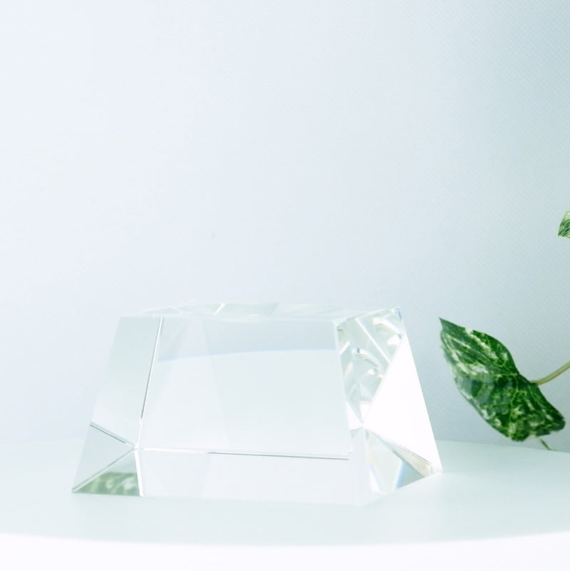 Clear Crystal 4.5 Inch Globe Stand with a plant in the background