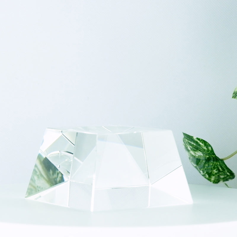 Clear Crystal 4.5 Inch Globe Stand with a plant in the background