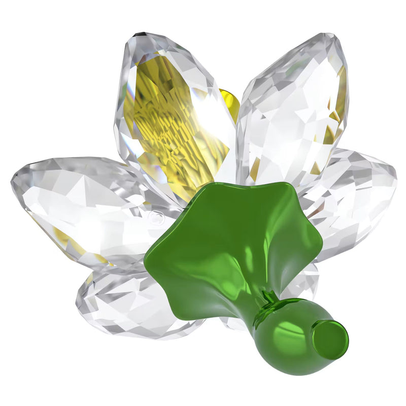 Swarovski Florere Daffodil