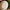 Emma Bridgewater Tiny Holly Medium Oval Platter
