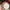 Emma Bridgewater Tiny Holly 6 1/2 Inch Plate