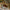 Emma Bridgewater Christmas Quilt 6 1/2 Inch Plate