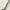 Forge de Laguiole Table Knives Set of 6, Putman, Ash Tree Handle