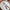 Forge de Laguiole Table Knives Set of 6, Juniper Shiny Handle