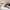 Forge de Laguiole Cheese Knife, Starck Blade