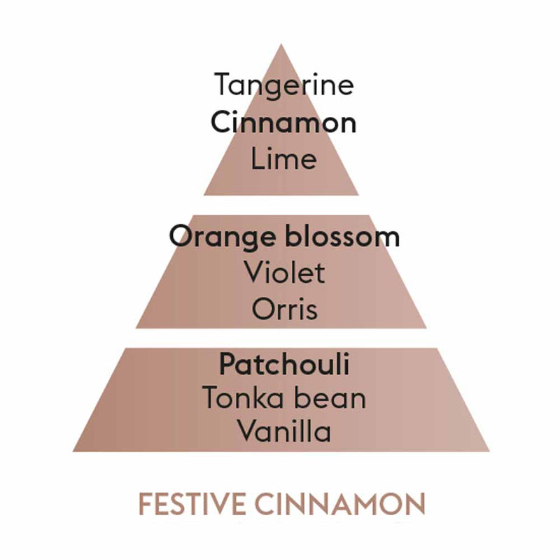 Festive Cinnamon