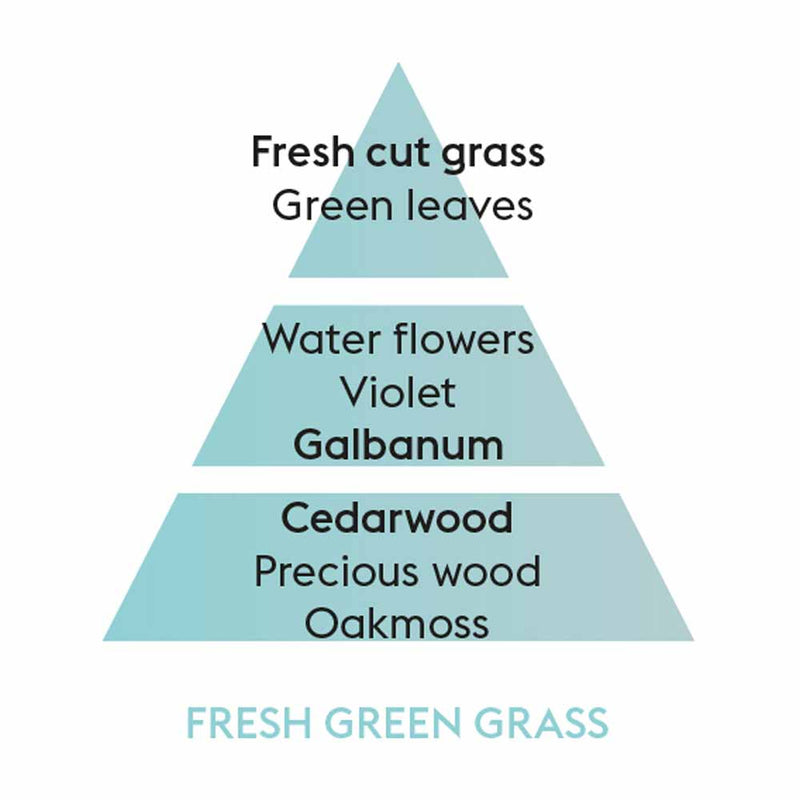 Fresh Green Grass