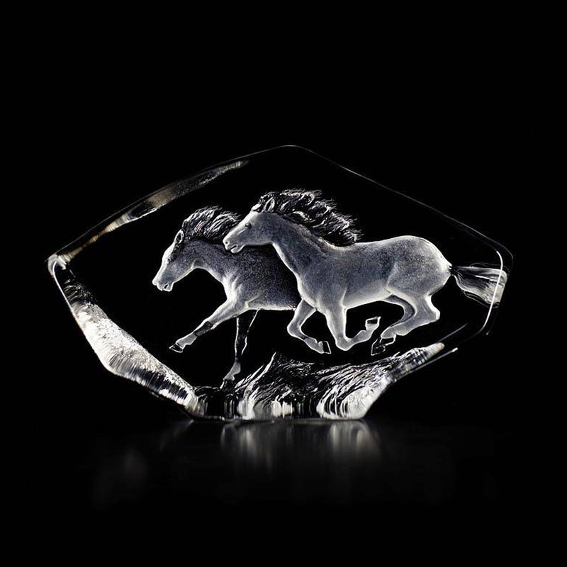 Maleras Wildlife Horses