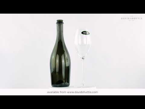 Riedel Performance Champagne Glasses (Pair)