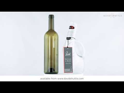 Riedel Curly Decanter