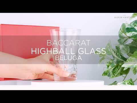 Baccarat Beluga Highball Glass (Set of 2)