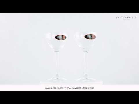 Riedel Drink Specific Nick & Nora Glasses (Pair)