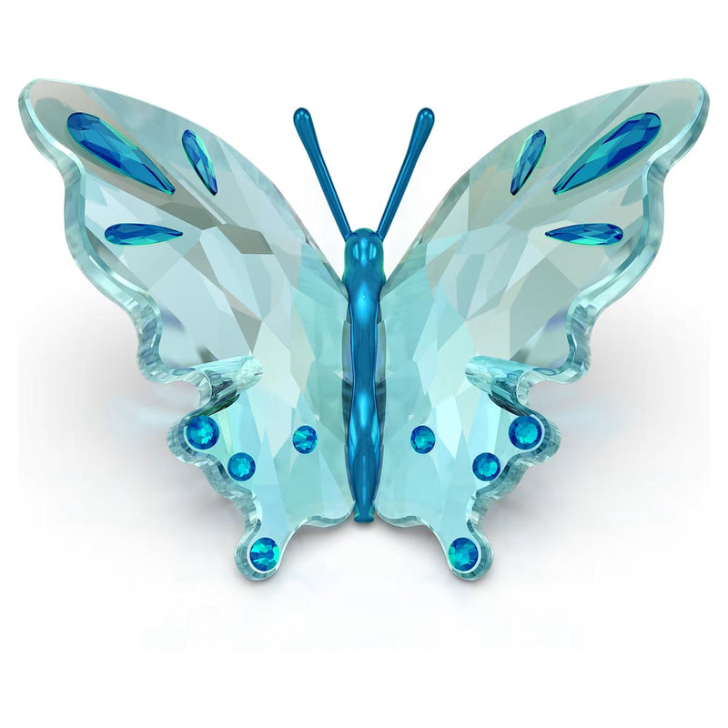 Swarovski Idyllia Butterfly, Turquoise